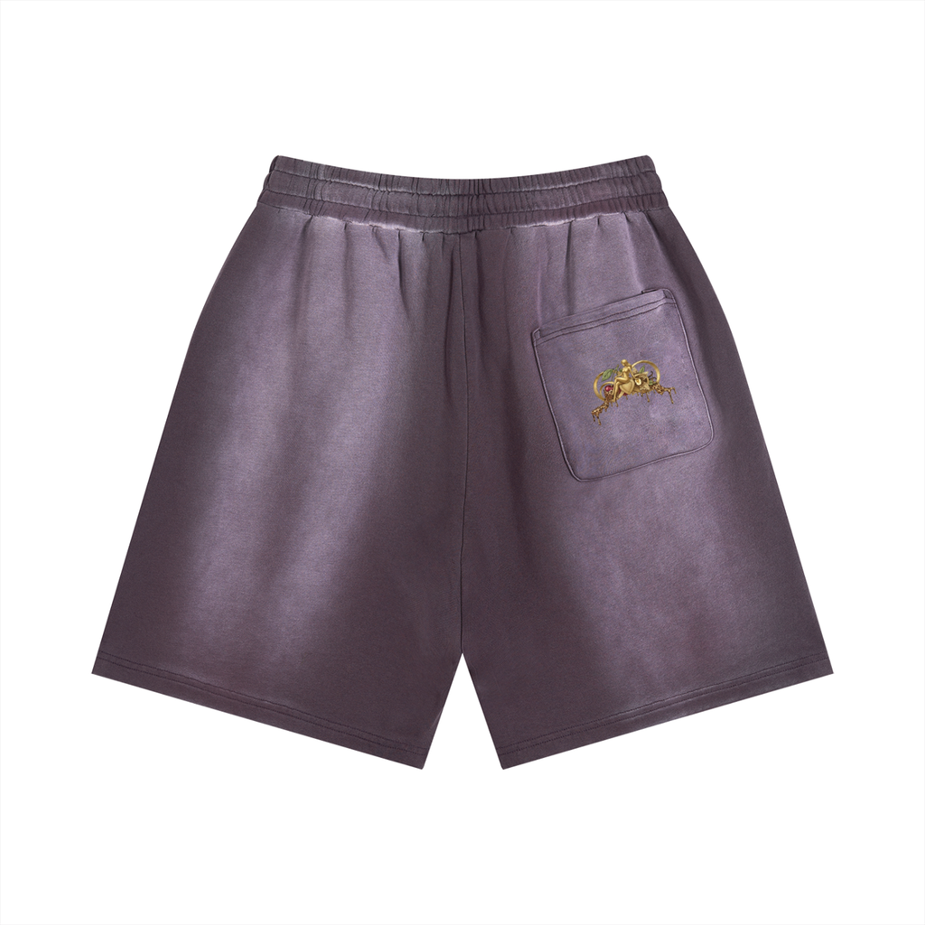P31 Sun Fade Distressed Shorts