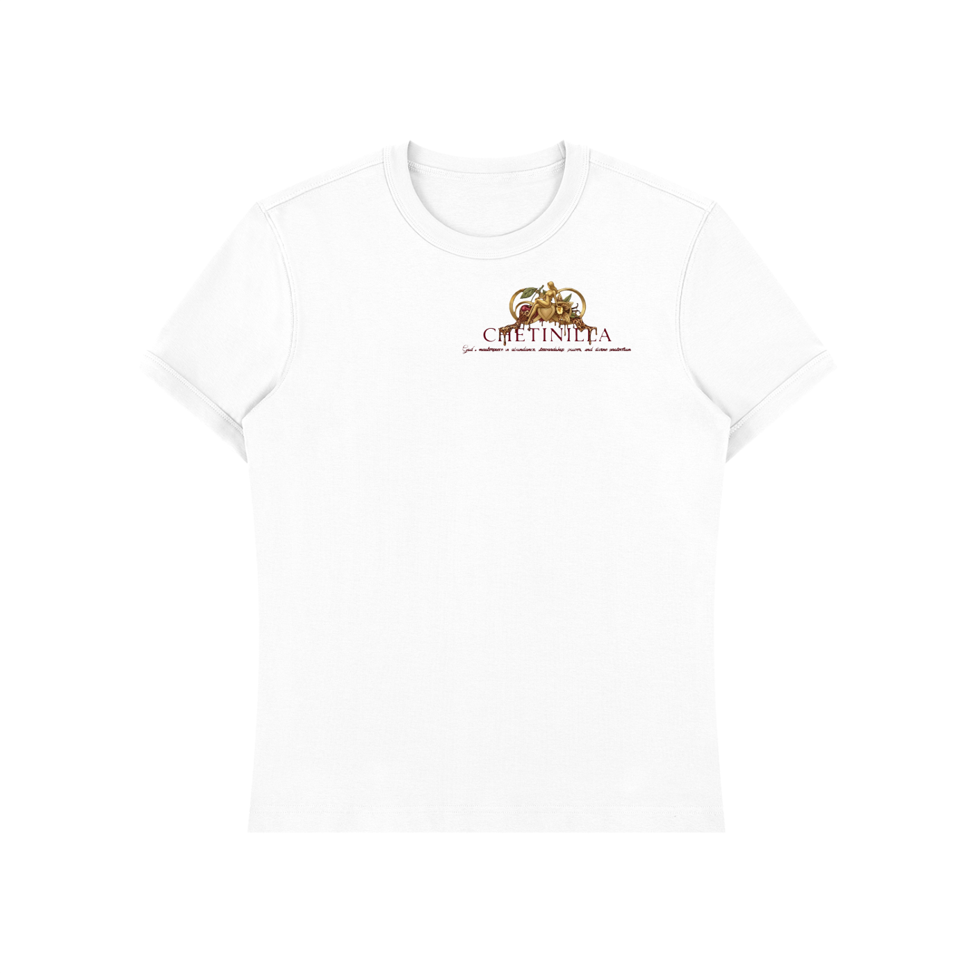“Southern Hospitality” Unisex Heavyweight Slim Fit T-Shirt