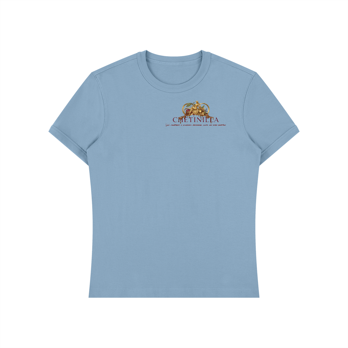 “Southern Hospitality” Unisex Heavyweight Slim Fit T-Shirt