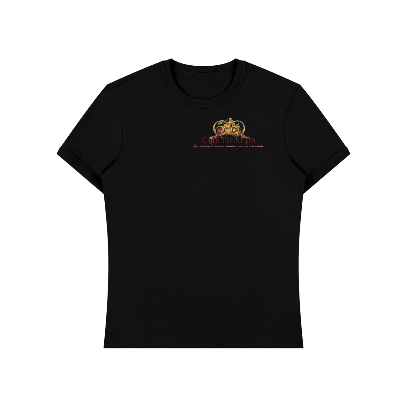 “Southern Hospitality” Unisex Heavyweight Slim Fit T-Shirt